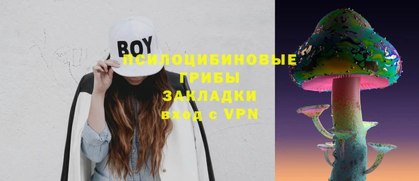 твердый Надым